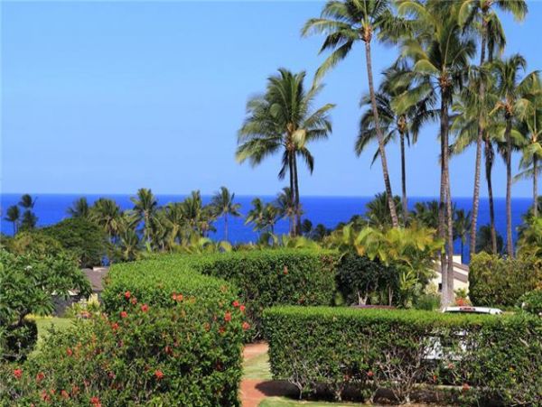 Wailea Condo 972612