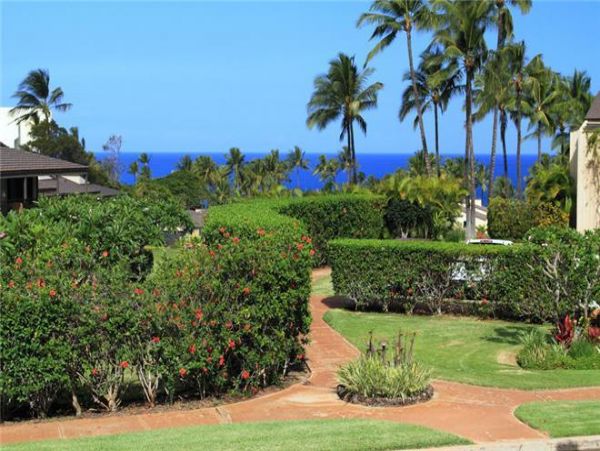 Wailea Condo 972612