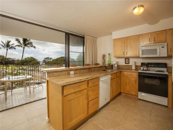 Wailea Condo 972613