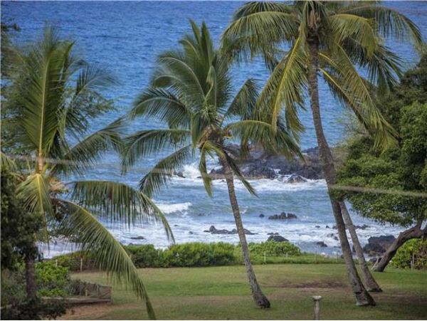 Wailea Condo 972613