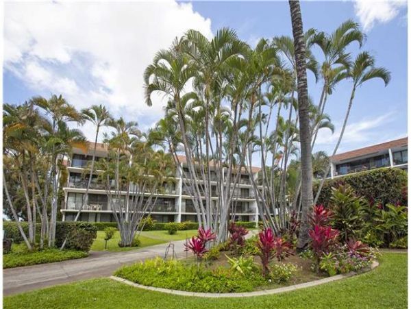 Wailea Condo 972613