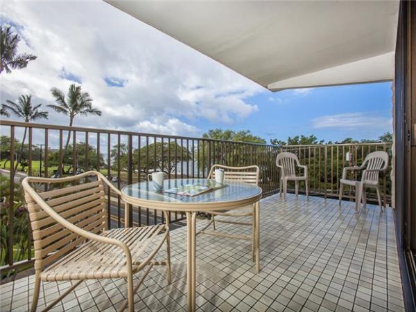 Wailea Condo 972613