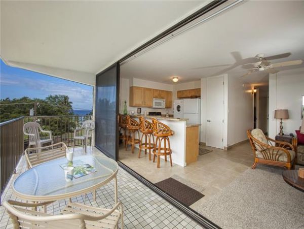Wailea Condo 972613