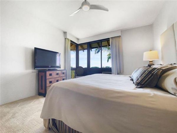 Wailea Condo 972624