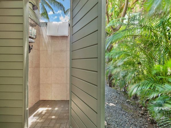 Wailea Home 972646