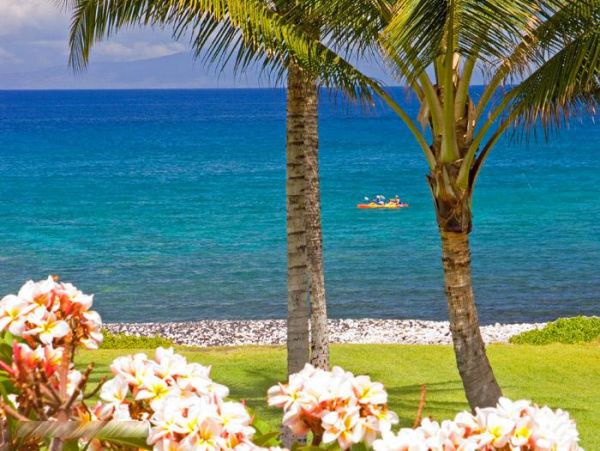 Wailea Home 972646