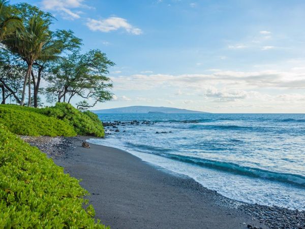 Wailea Home 972646