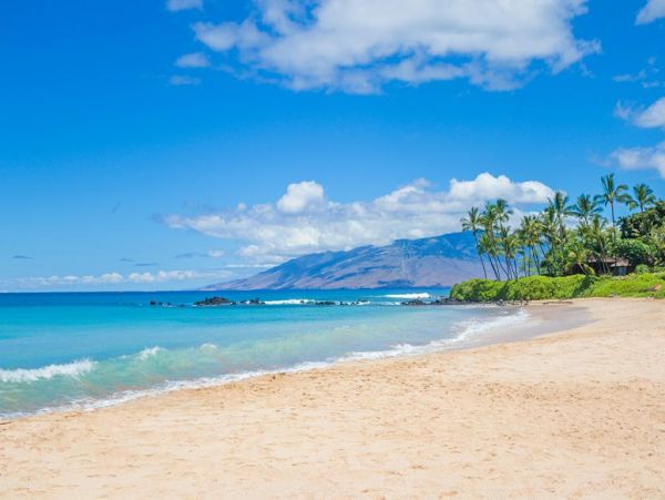 Wailea Home 972646