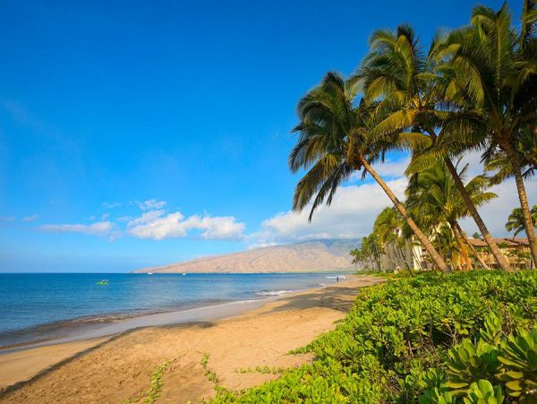 Wailea Home 972646