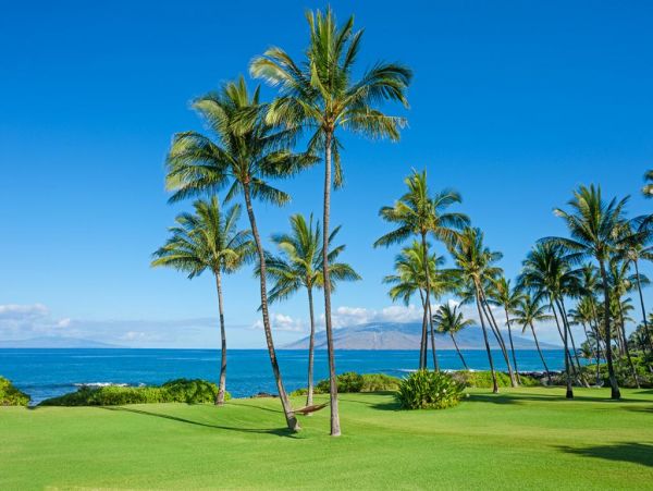 Wailea Home 972650