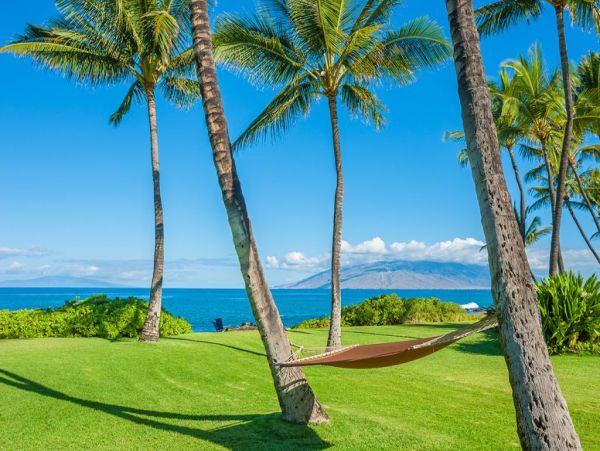 Wailea Home 972650