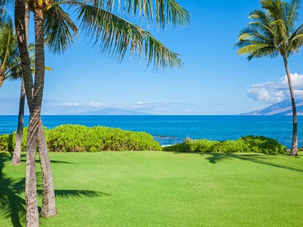 Wailea Home 972650