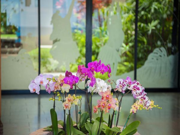 Wailea Home 972650