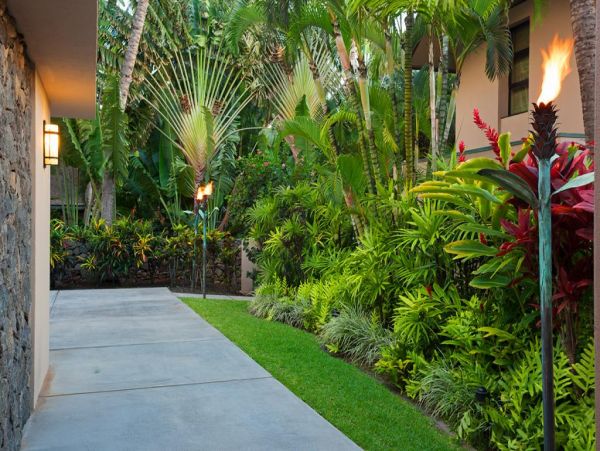 Wailea Home 972650