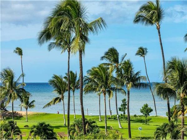 Kihei Condo 972658