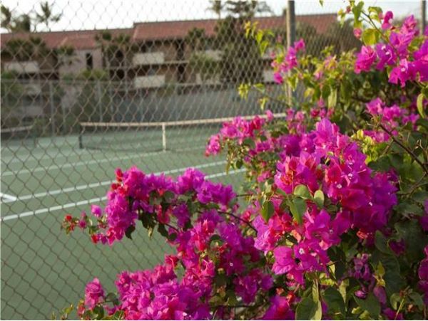 Kihei Condo 972690