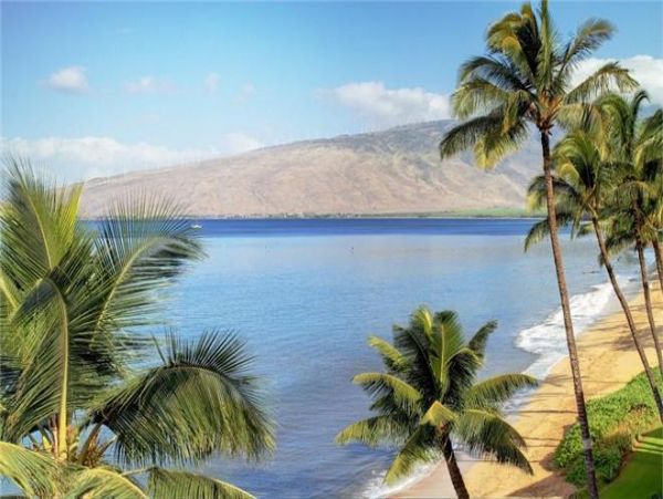 Kihei Condo 972695