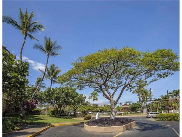 Kihei Condo 972698