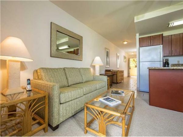 Wailea Condo 972701