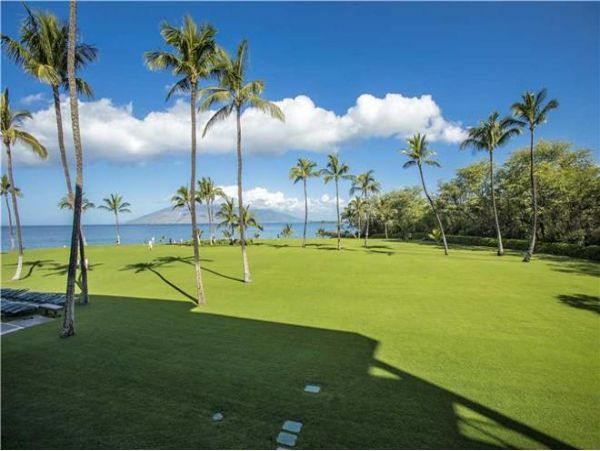 Wailea Condo 972701