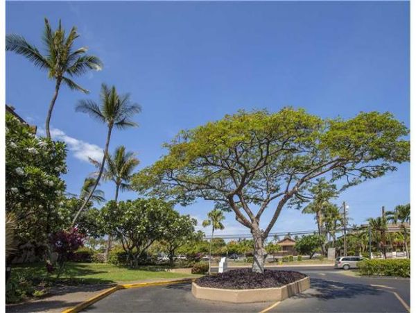 Kihei Condo 972702