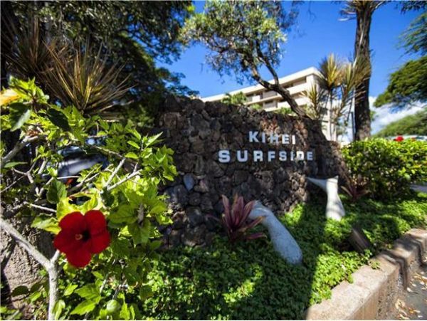 Wailea Condo 972706
