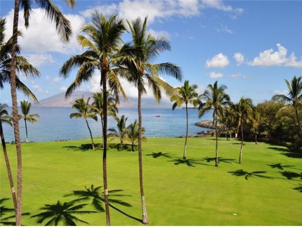 Wailea Condo 972706