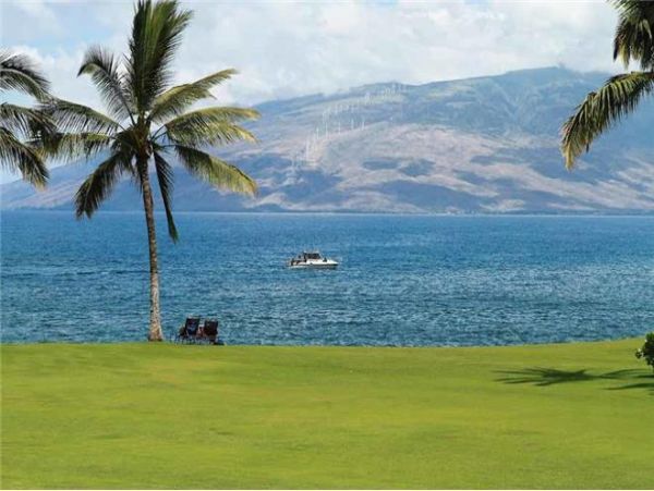 Wailea Condo 972713