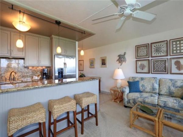 Wailea Condo 972719