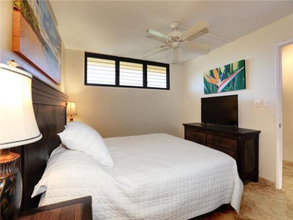 Wailea Condo 972721