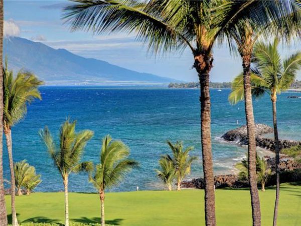 Wailea Condo 972721