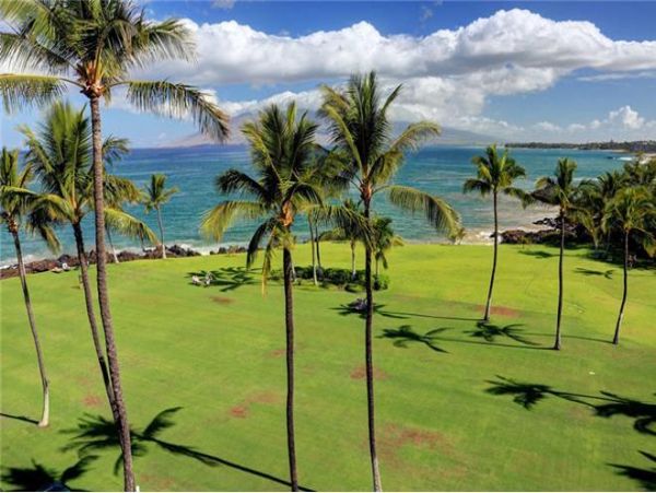 Wailea Condo 972724