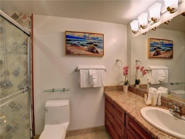 Wailea Condo 972727