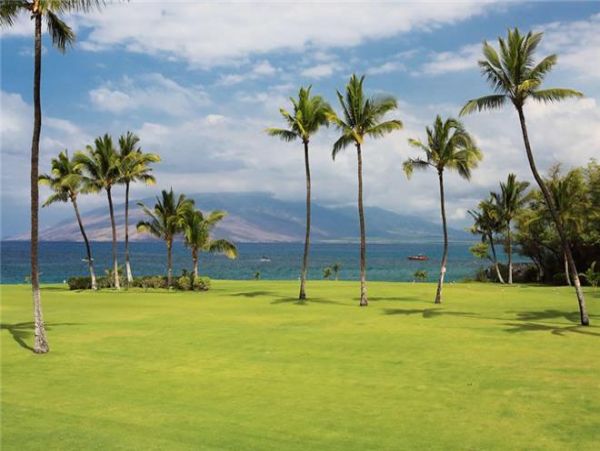 Wailea Condo 972727