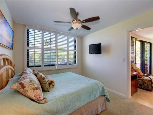 Wailea Condo 972728