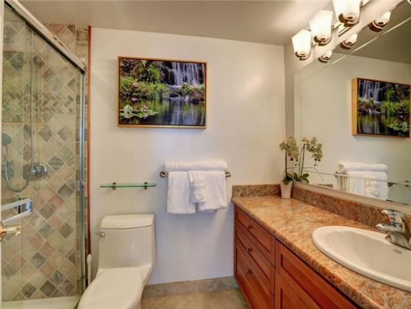 Wailea Condo 972728