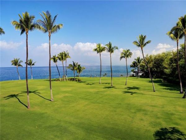 Wailea Condo 972728