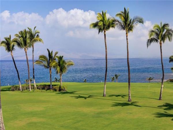 Wailea Condo 972728