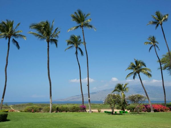 Kihei Condo 972730