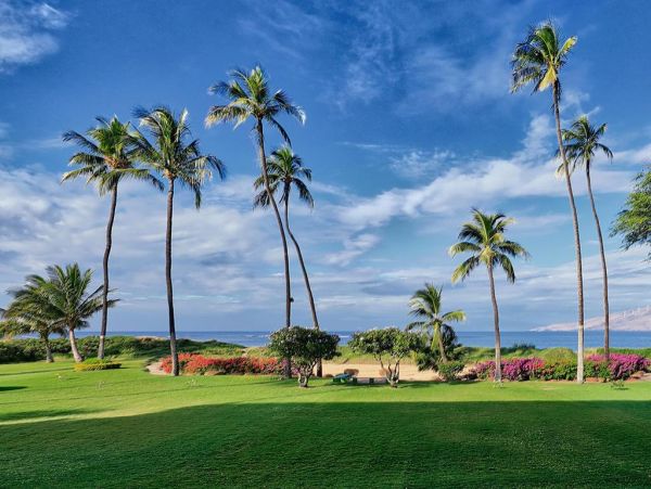 Kihei Condo 972732