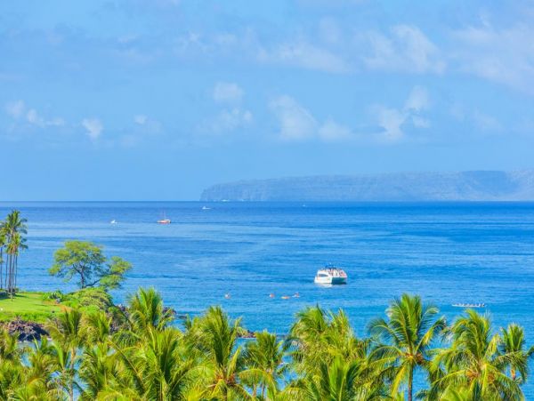 Wailea Condo 972733