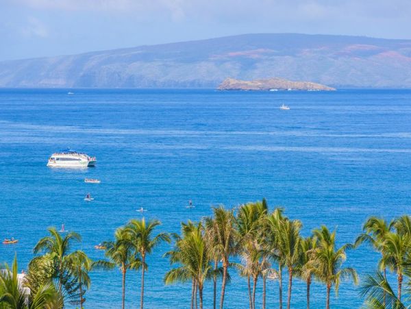 Wailea Condo 972733
