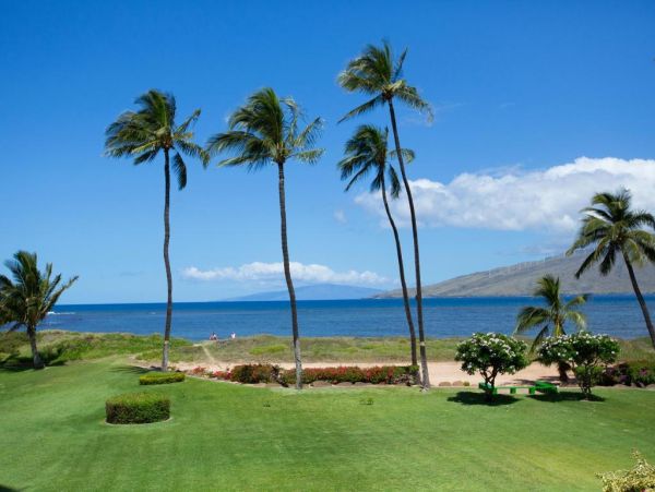Kihei Condo 972734