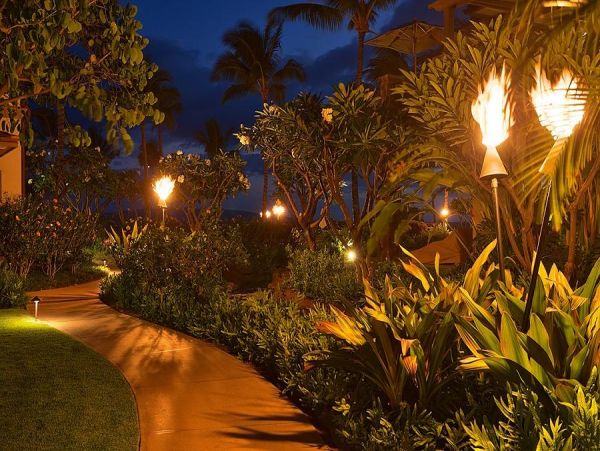 Wailea Home 972748