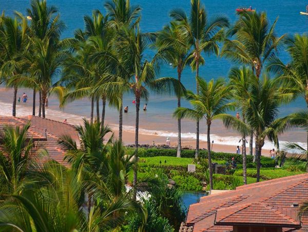 Wailea Home 972748