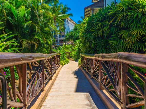 Wailea Home 972748