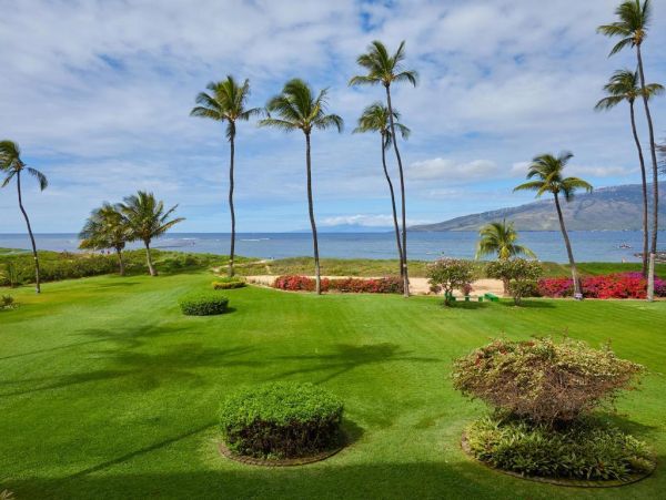Kihei Condo 972759