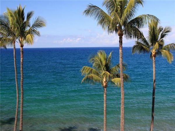 Kihei Condo 972774