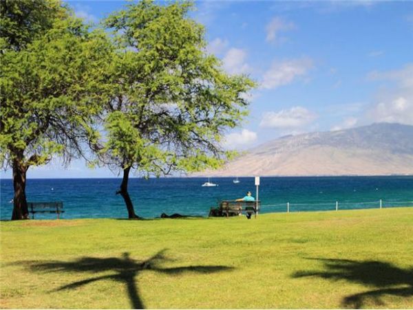 Kihei Condo 972782