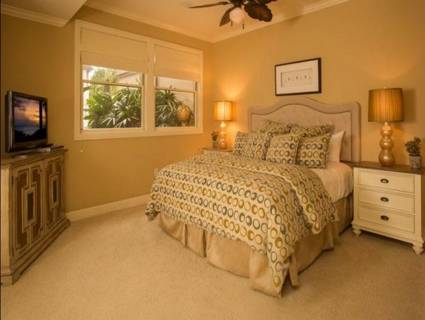 Wailea Condo 972783